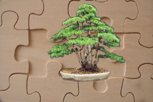 Read more about the article Charity sale