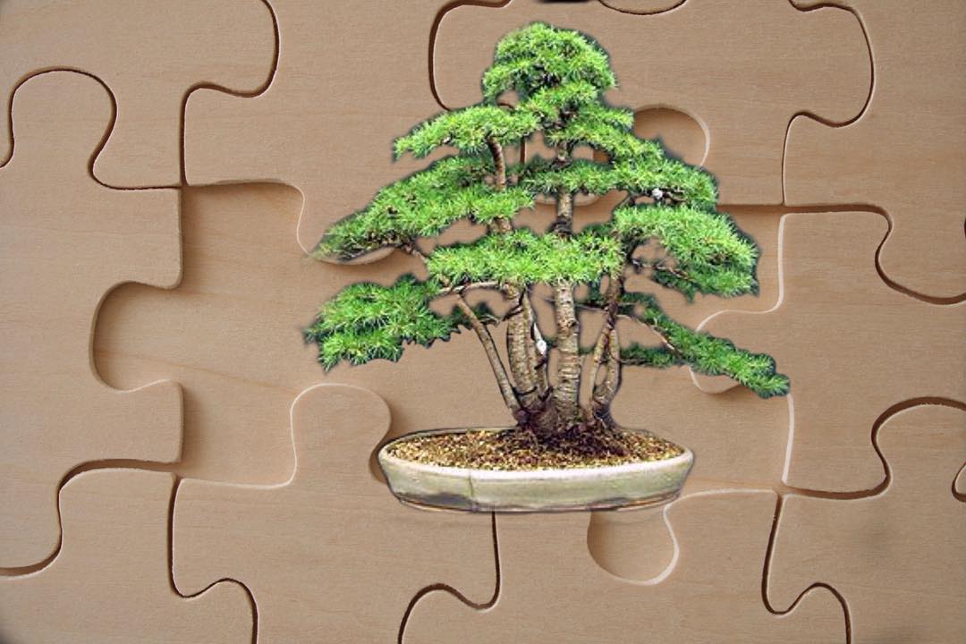 Read more about the article Благотворительная распродажа