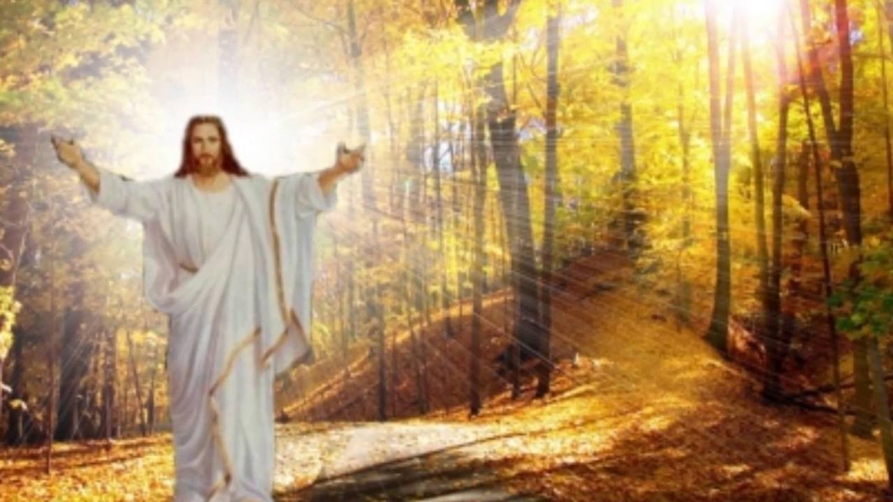 Read more about the article Я всегда боялся умереть без покаяния