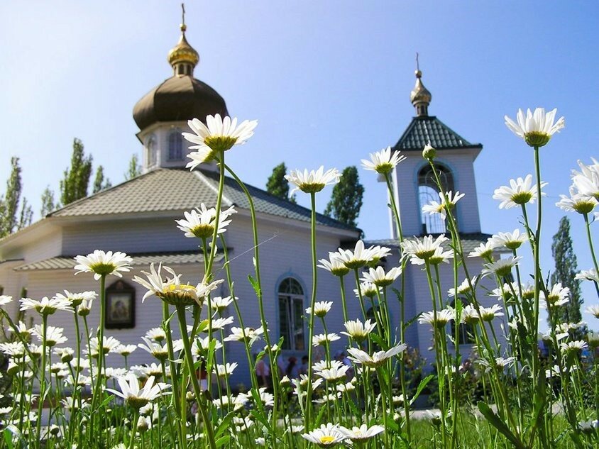 Read more about the article И не забывай, Кто у нас самый главный Начальник.