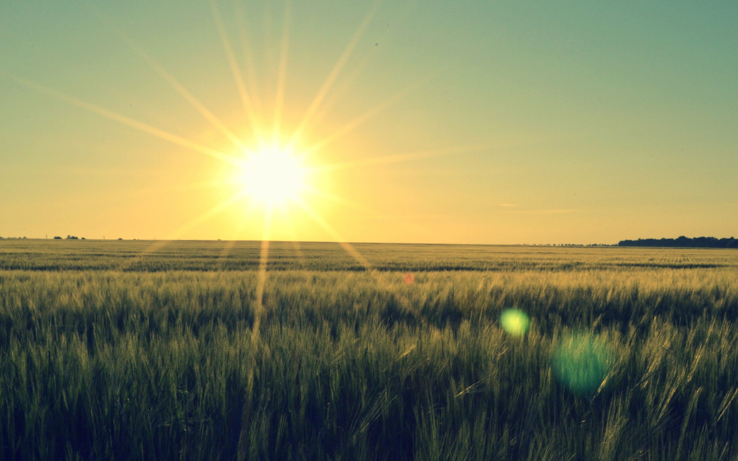 Read more about the article Я был священником, а теперь, видишь, — никто