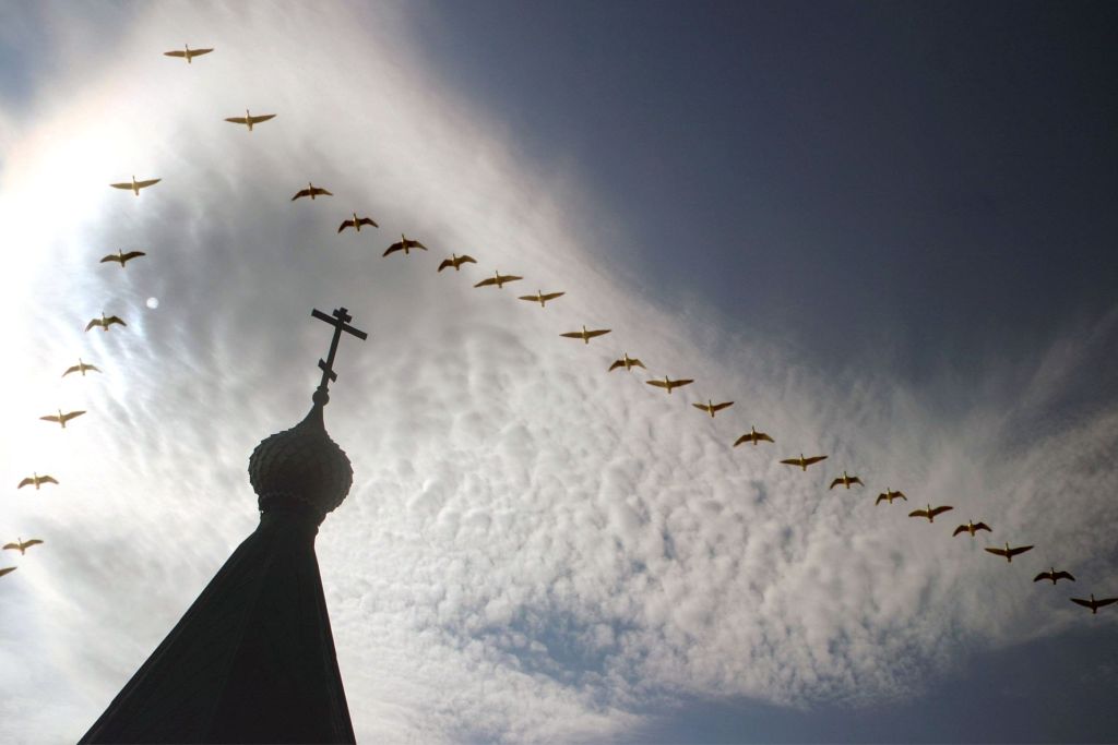 Read more about the article Боженька, спаси меня от них, или возьми меня к Себе