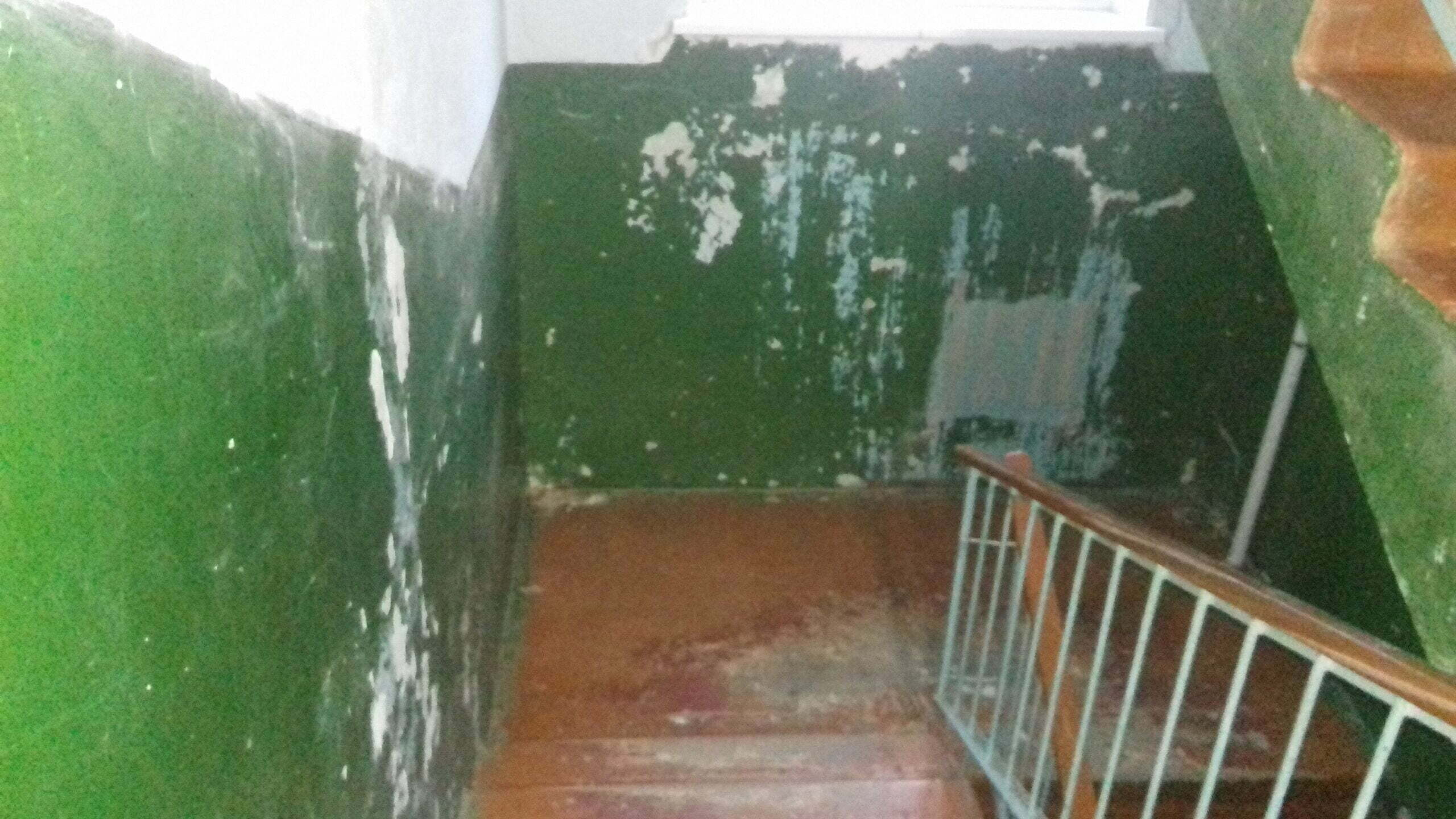 Read more about the article Не бомж я