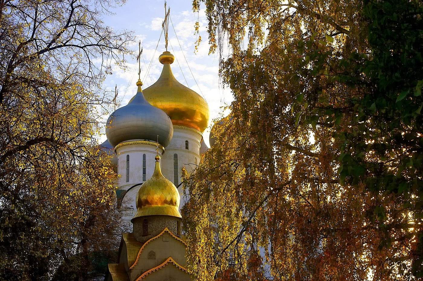 Read more about the article И Церковь наша — живая! Где есть место каждому.