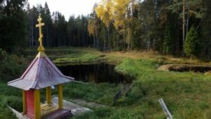 Read more about the article Святой источник «Тихвинской» иконы Божией Матери (Акулова Гора)