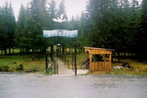 Read more about the article Святой источник преподобного Алексия, человека Божия (Карпушиха)