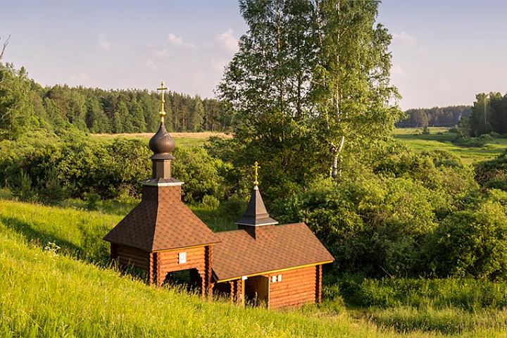 Read more about the article Святой источник Александра Невского (Чамерево)