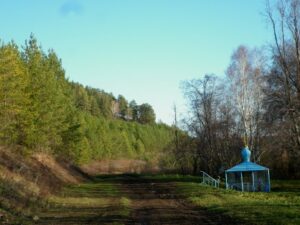 Read more about the article Святой источник Тихвинской иконы Божией Матери (Парафеевка)