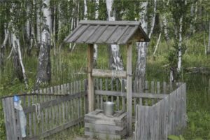Read more about the article Cвятой источник Криванковский (Некрасово)