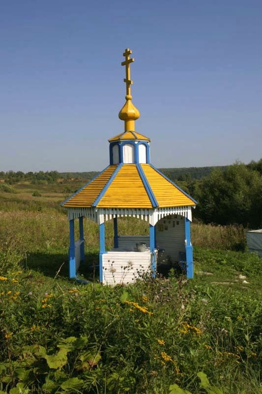Read more about the article Святой источник иконы Божией Матери Всех скорбящих Радость (Чиркино)