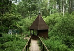 Read more about the article Святой источник пророка Божия Илии (Орехово)