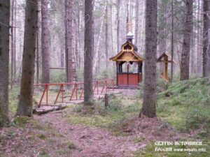 Read more about the article Святой источник иконы Божией Матери «Всех скорбящих Радость» (Новошино)