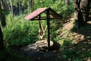 Read more about the article Святой источник (Антипино)