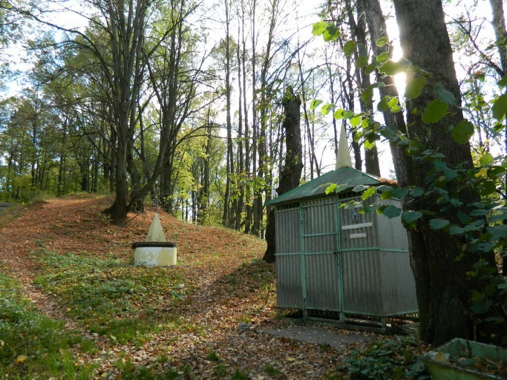 Петрово — Святой источник иконы Божией Матери Всех скорбящих Радость
