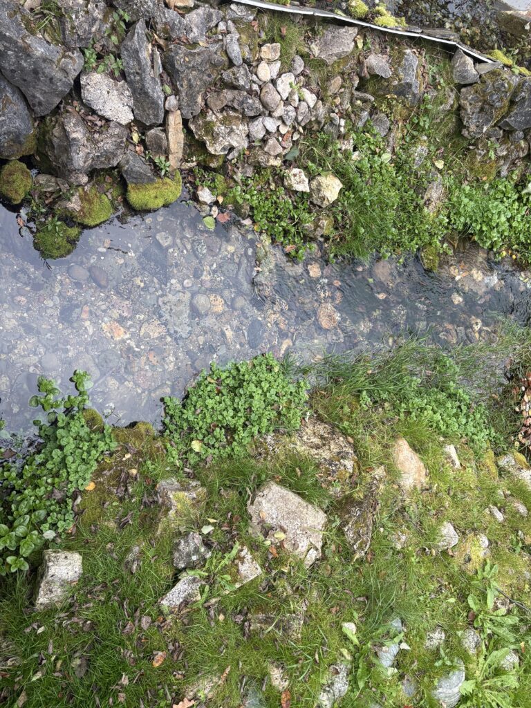 Talezh — The Holy Source of the Monk David of Serpukhov